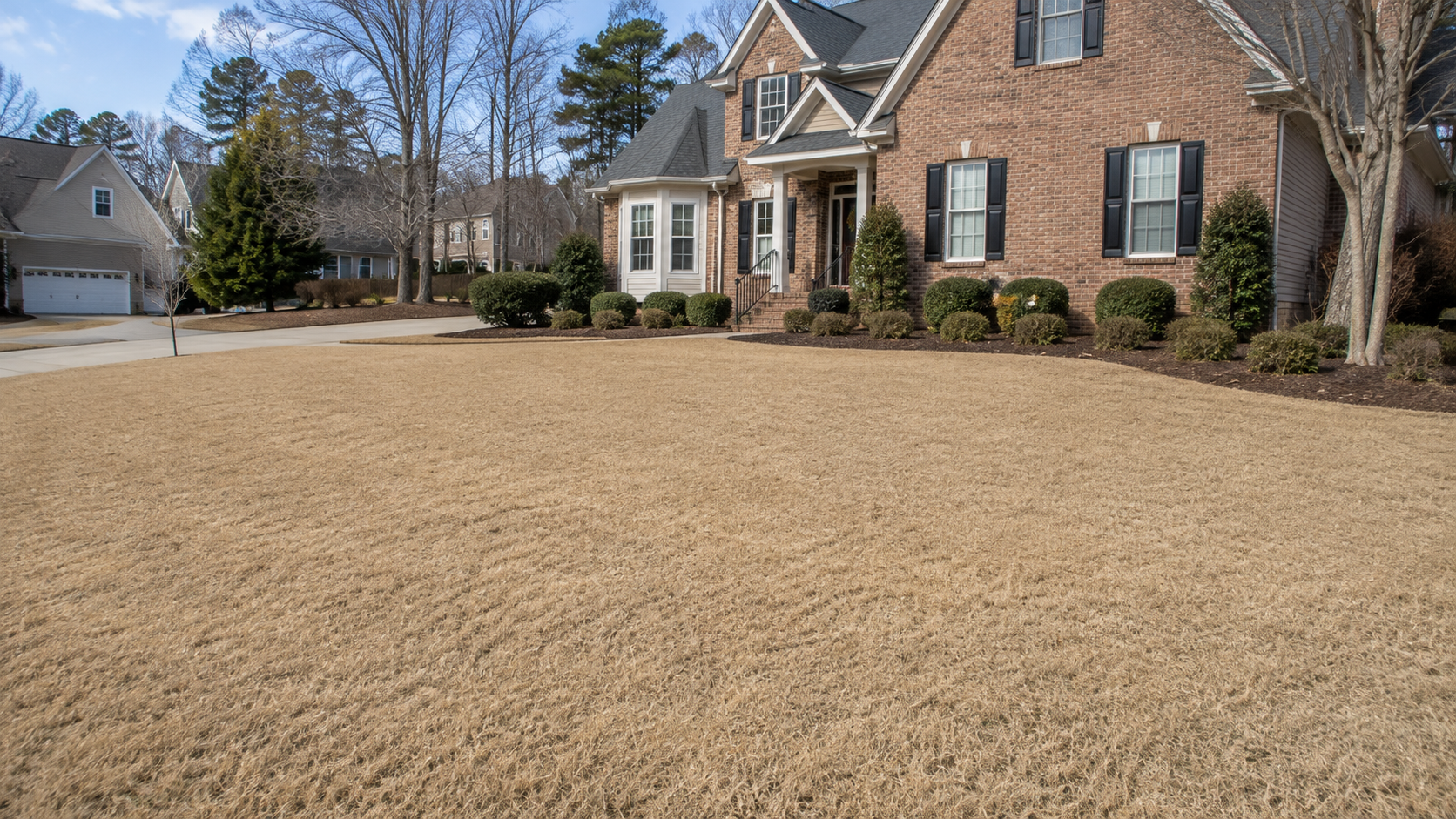 Dormant Bermuda lawn in Charlotte