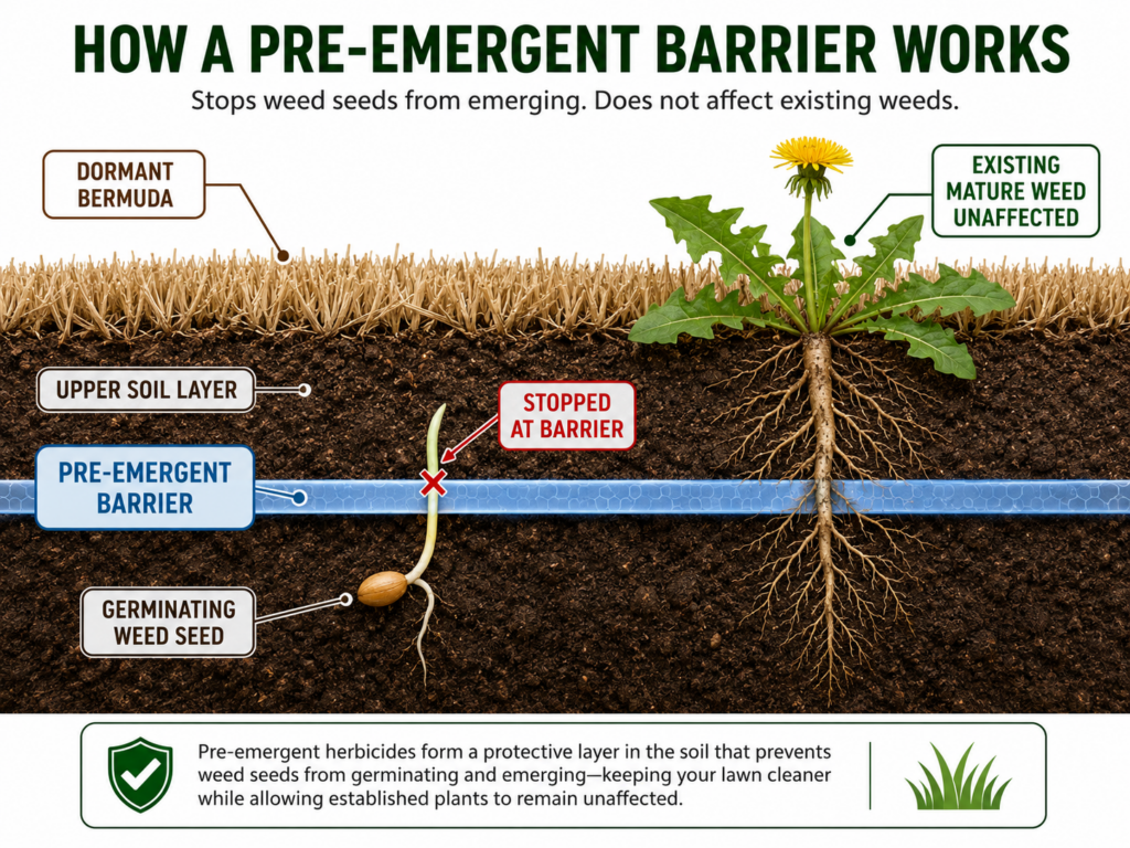 How a pre emergent barrier works