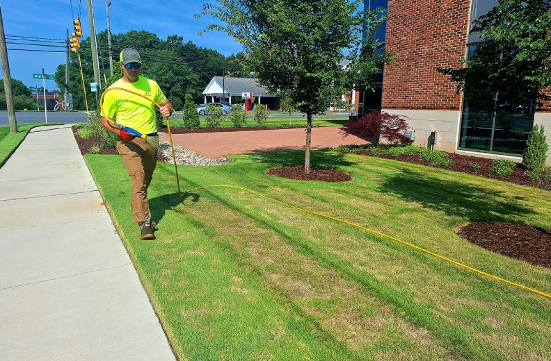 lawn weed control in greater charlotte