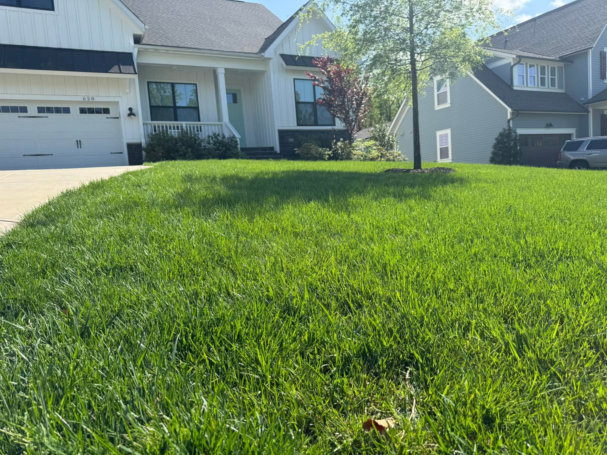 Lawn technician evaluating soil and turf