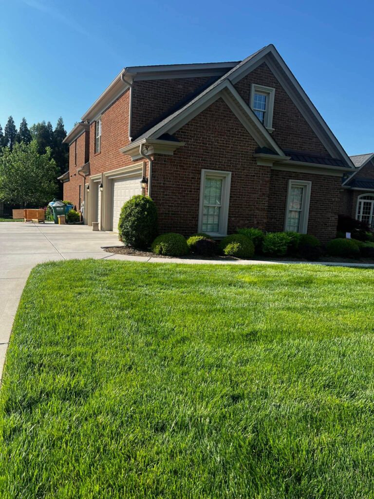 A healthy, green lawn after treatment done by Advanced Turf Care