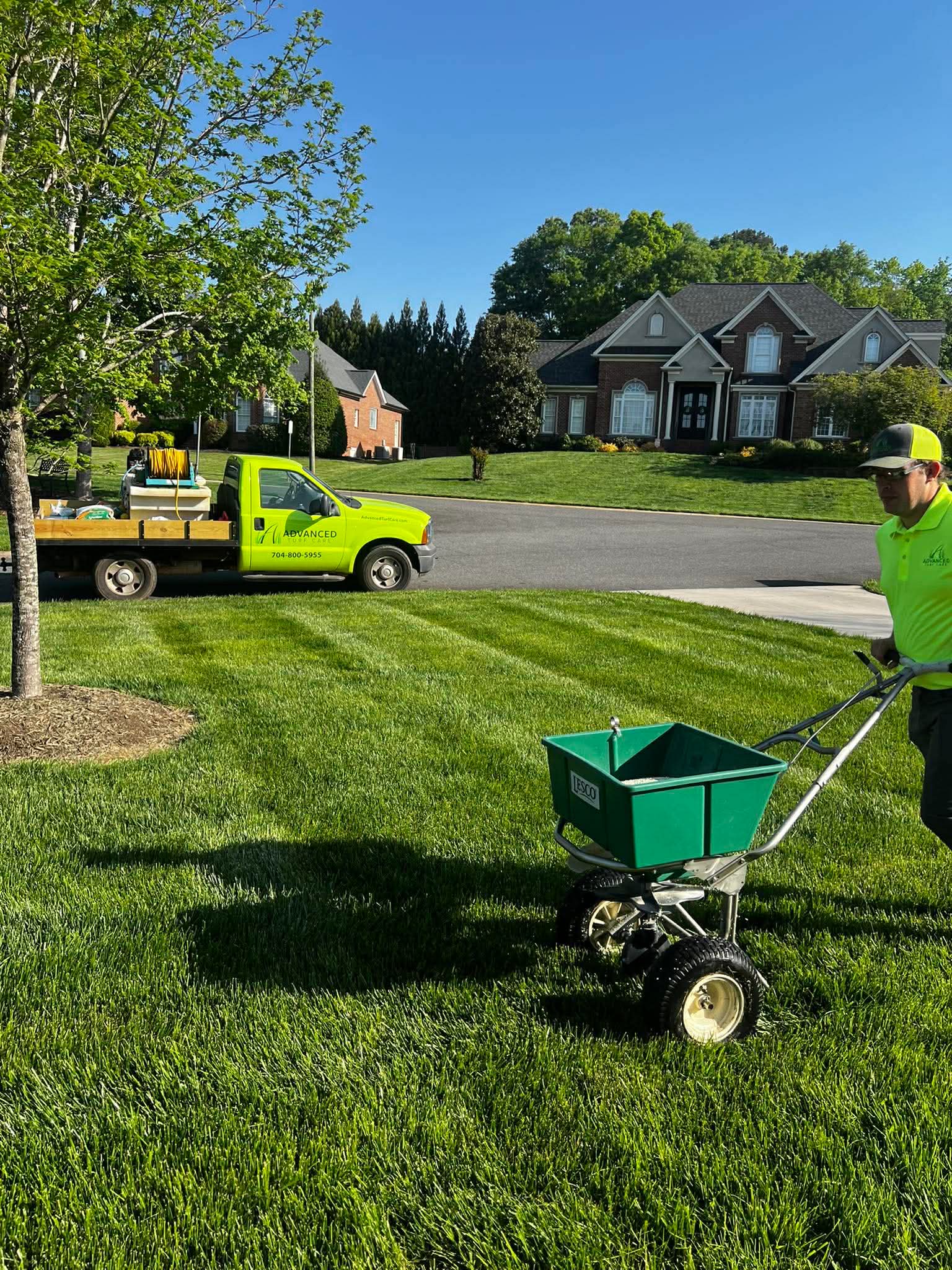 Healthy fertilized lawn in Charlotte