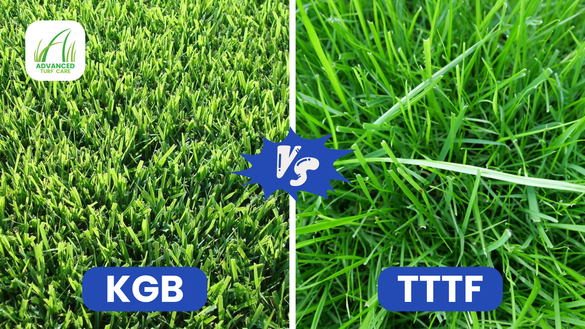KGB vs TTTF