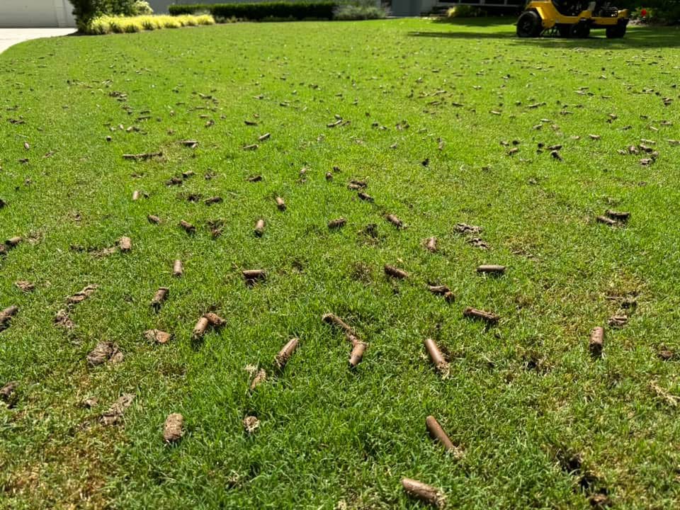 Professional core aeration service on a Charlotte lawn