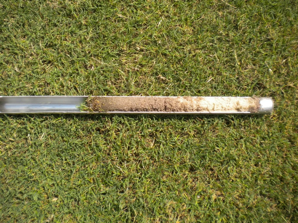 Thin lawn soil plug