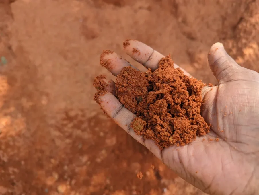 Hand Holding Red Clay Soil