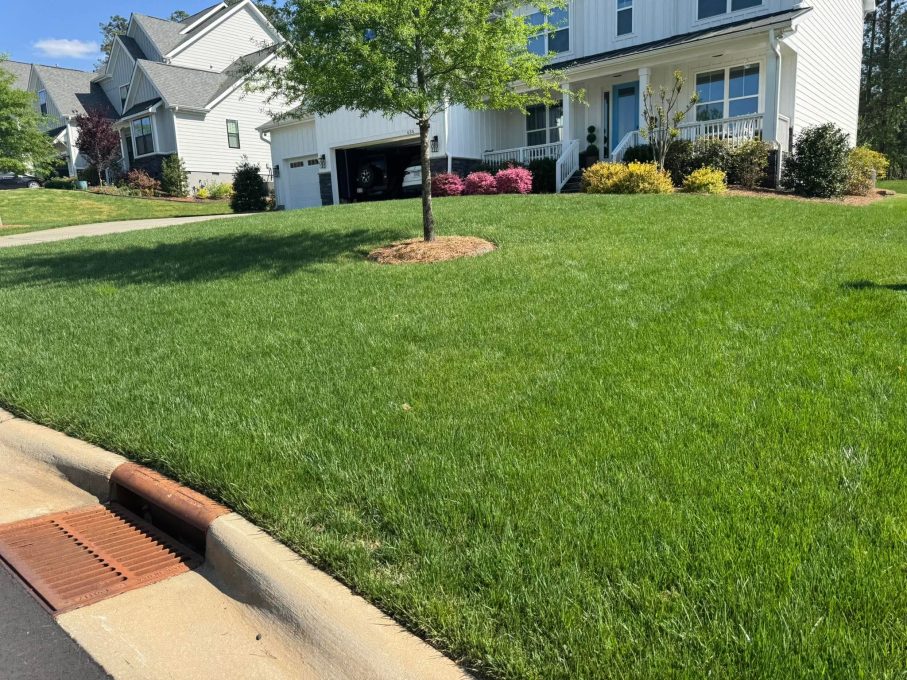 A lush, green yard of a customer after the lawn care done by Advanced Turf Care