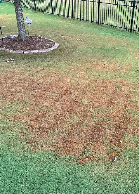 advanced-turf-care-banner-brown-patch-control-mbl