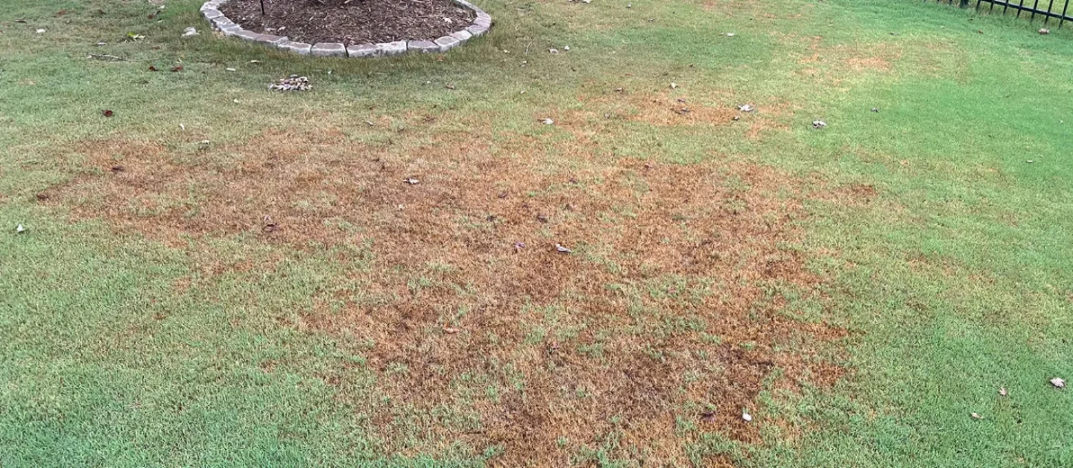 advanced-turf-care-banner-brown-patch-control