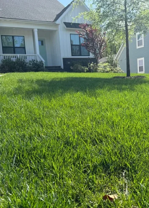 advanced-turf-care-banner-grub-control-service-mbl