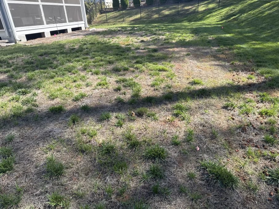 landscape contractor charlotte