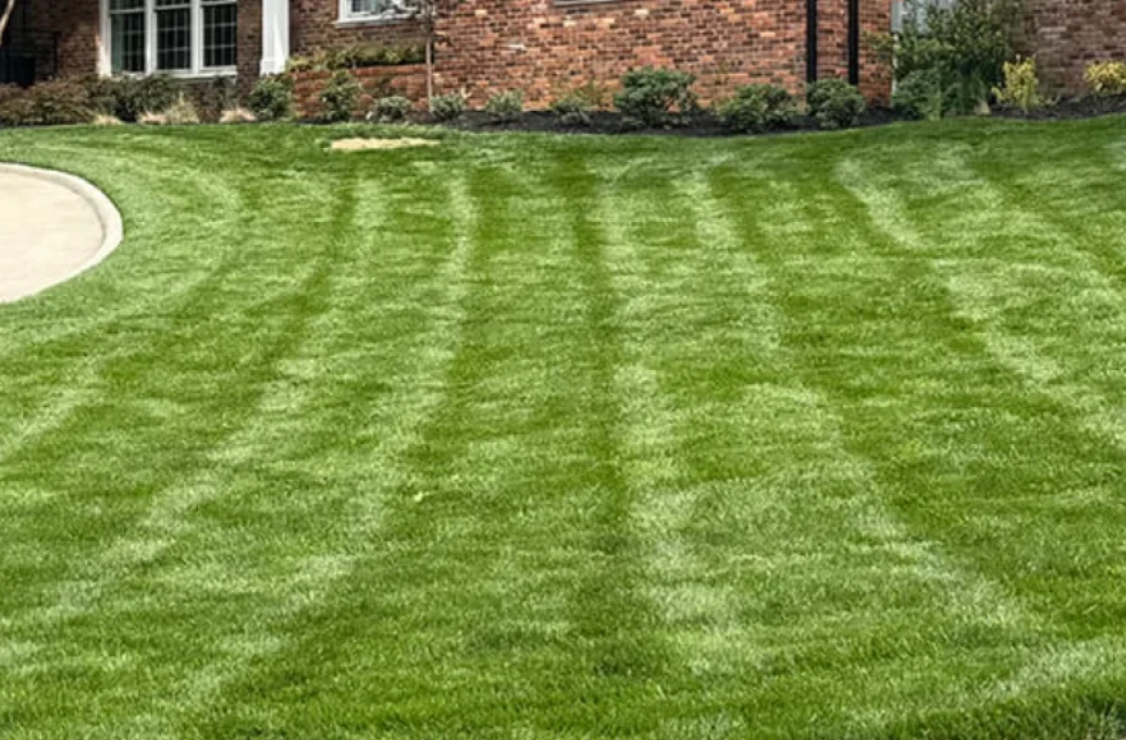 lawn aeration in gastonia