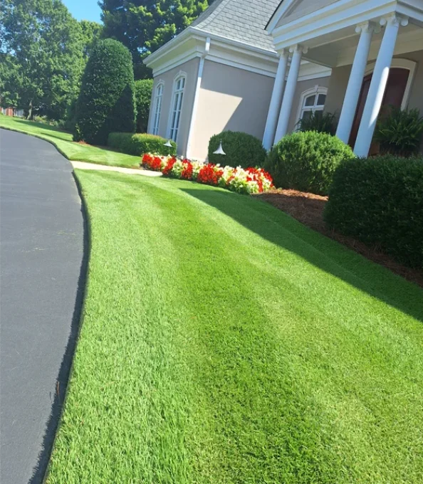 lawn care and pest control experts in cramerton nc