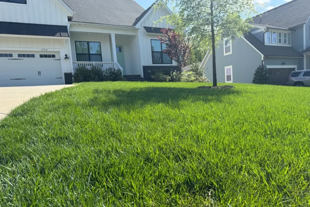lawn care services in denver nc