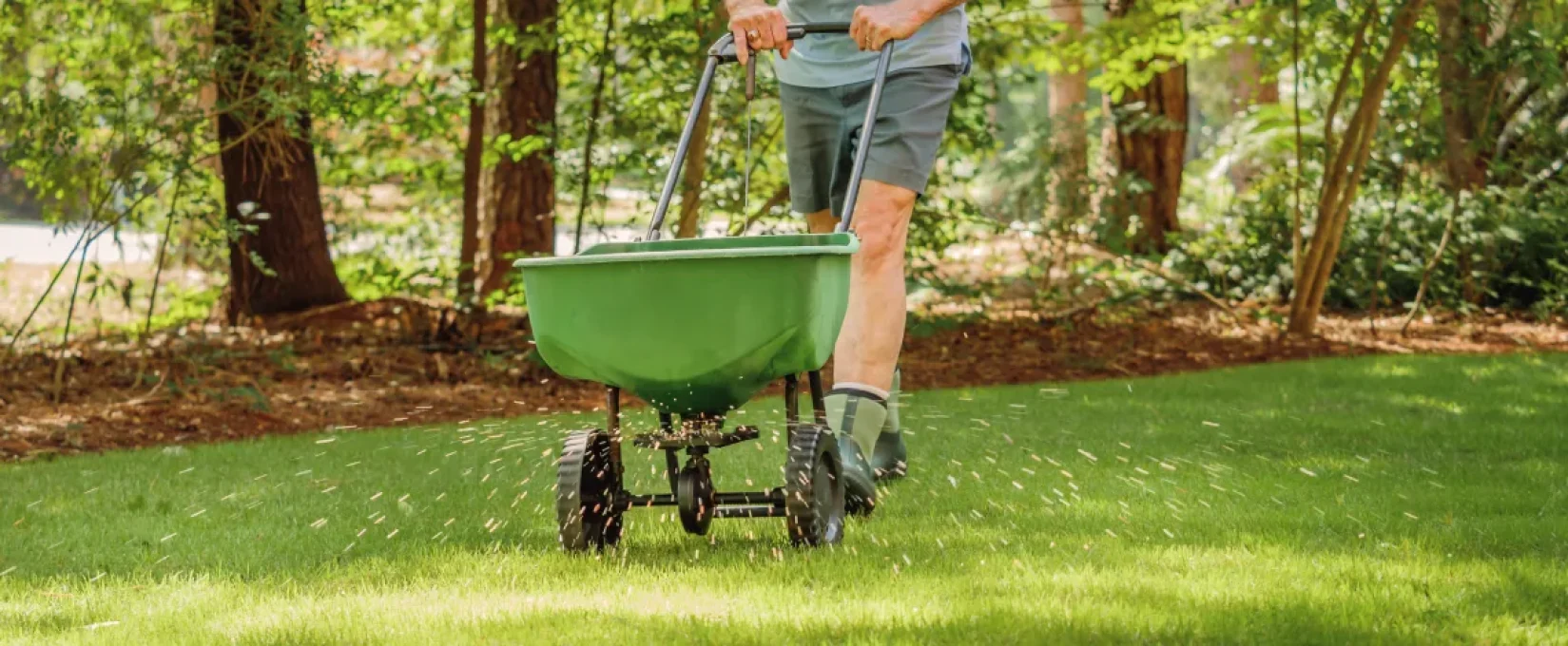 lawn fertilization for gastonia nc properties
