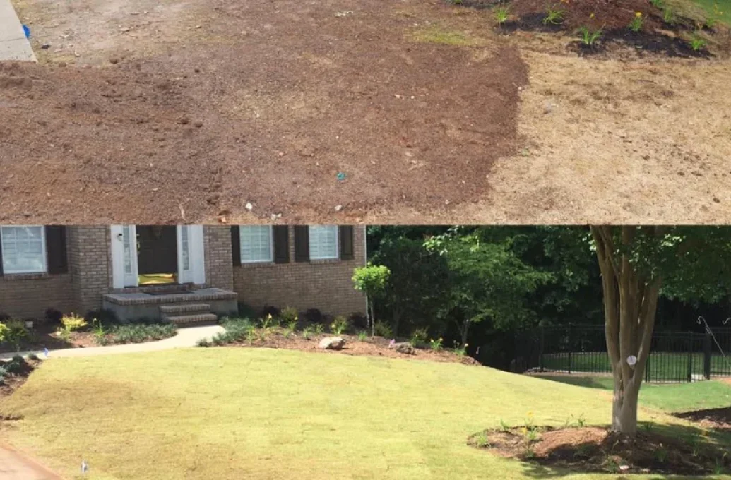 lawn fertilization program in gastonia nc